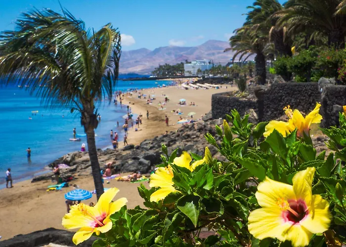 דירה Luxury Ocean View Retreat 2bedroom With Jacuzzi